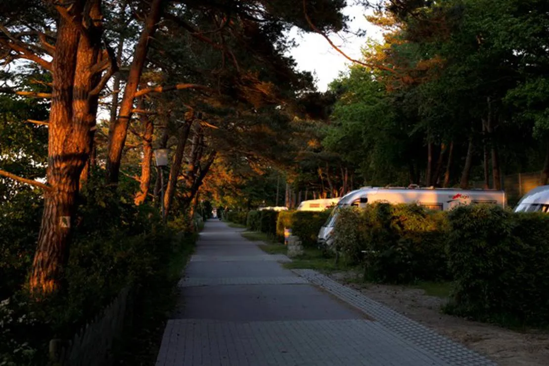 camping-am-dunengelande-gmbh-zempin-tg1um