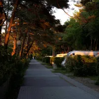 camping-am-dunengelande-gmbh-zempin-tg1um