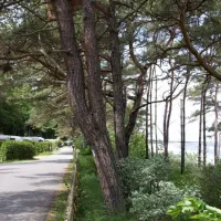 camping-am-dunengelande-gmbh-zempin-y7psc