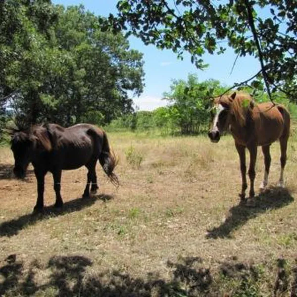 la-vignasse-berrias-ardeche-7bczb