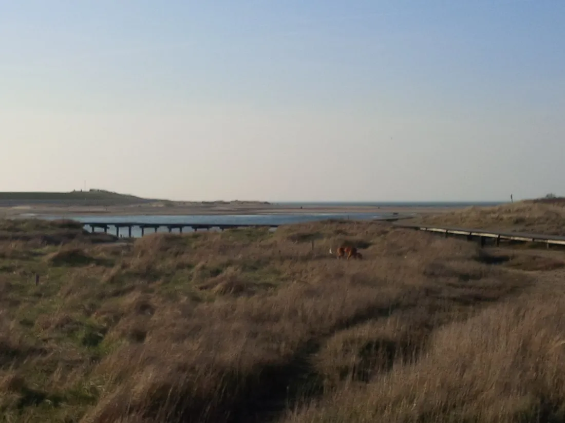 caravanpark-nooitgedacht-nieuwvliet-nieuwvliet-bad-gf1jl