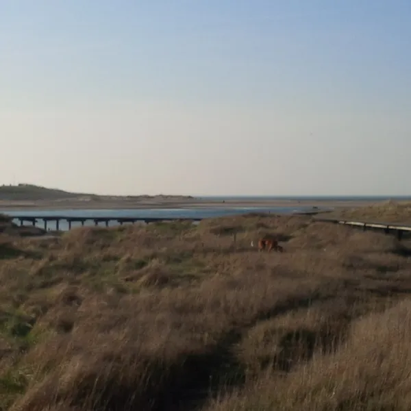 caravanpark-nooitgedacht-nieuwvliet-nieuwvliet-bad-gf1jl