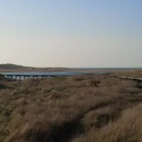 caravanpark-nooitgedacht-nieuwvliet-nieuwvliet-bad-gf1jl
