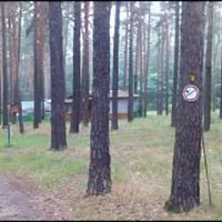 camping-konigsee-uthausen-bei-wittenberg-1imau
