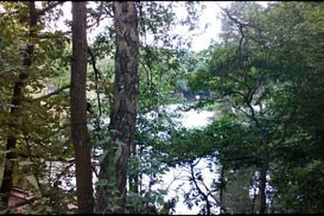 camping-konigsee-uthausen-bei-wittenberg-jxm0u