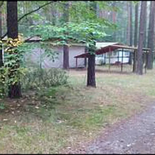 camping-konigsee-uthausen-bei-wittenberg-sirtd