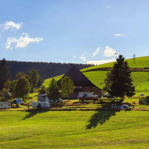 zum-wilden-michel-furtwangen-stdir