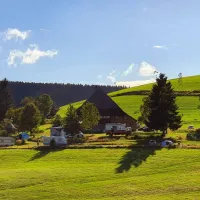 zum-wilden-michel-furtwangen-stdir