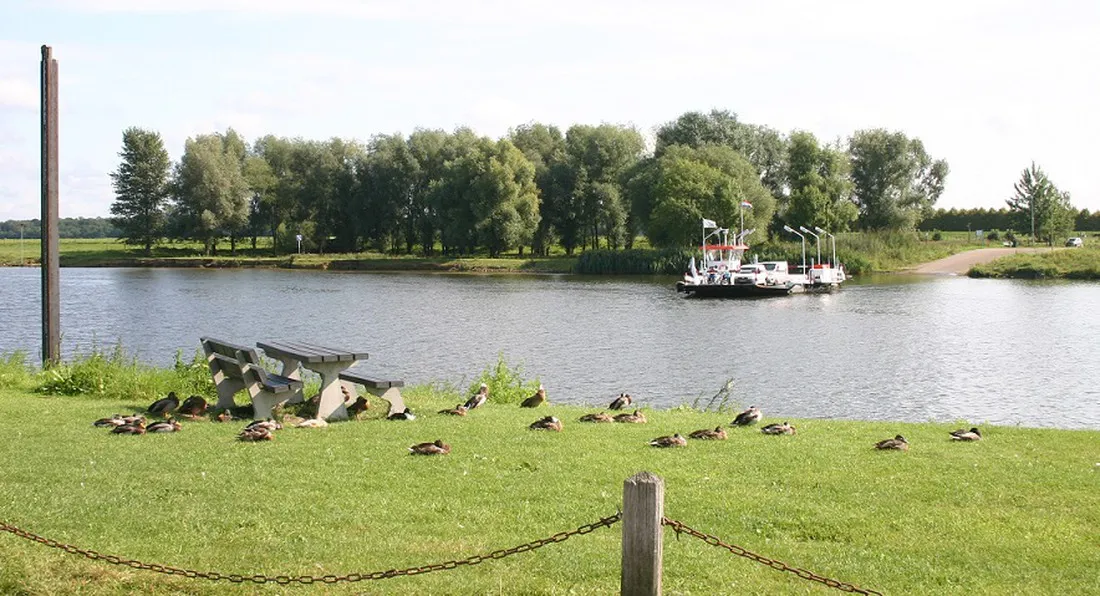 de-merel-melderslo-4uwz4