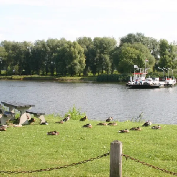 de-merel-melderslo-4uwz4