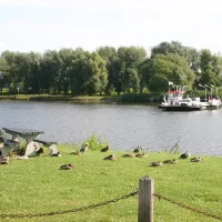 de-merel-melderslo-4uwz4