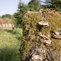 les-etangs-argenton-sur-creuse-indre-ui5yy