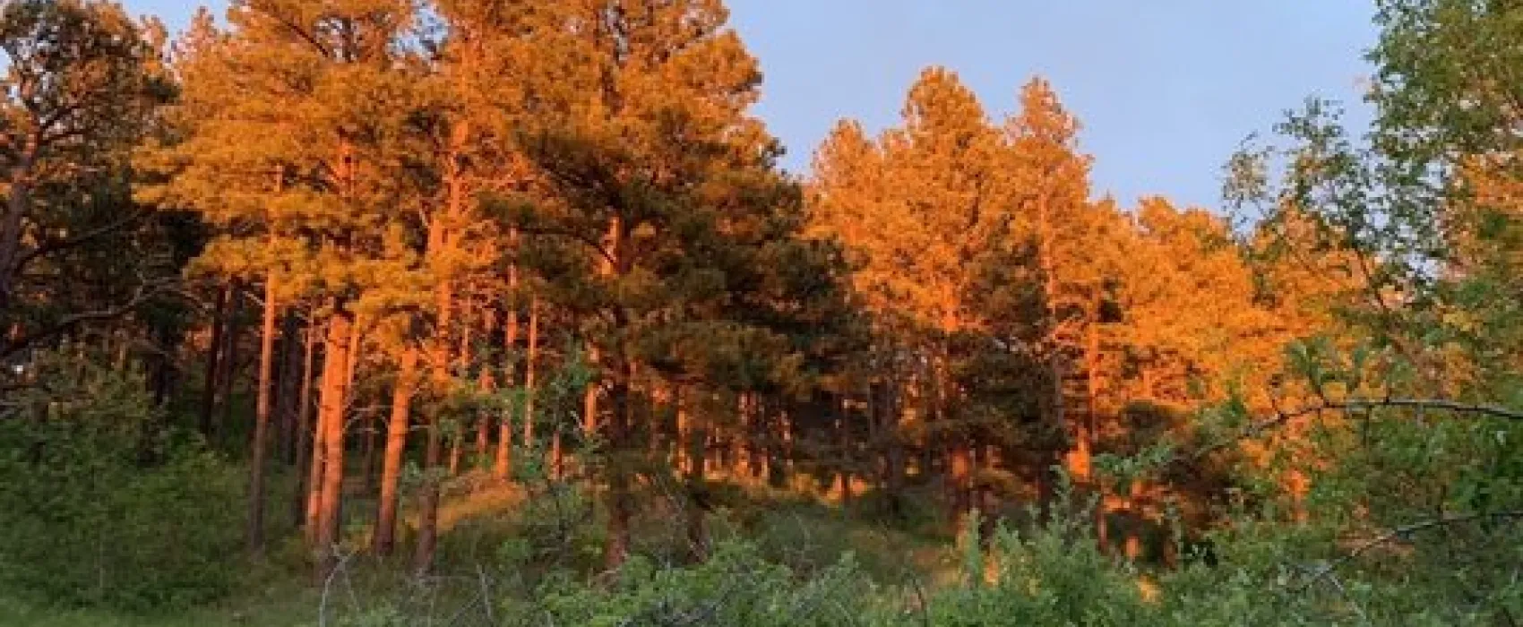 Reva Gap Campground