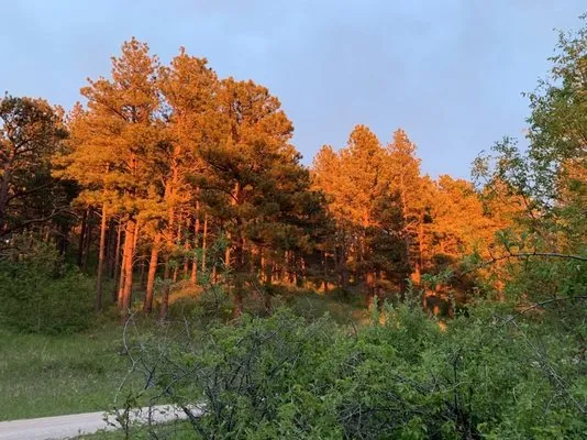 reva-gap-campground-reva-zewew