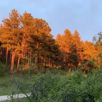 reva-gap-campground-reva-zewew