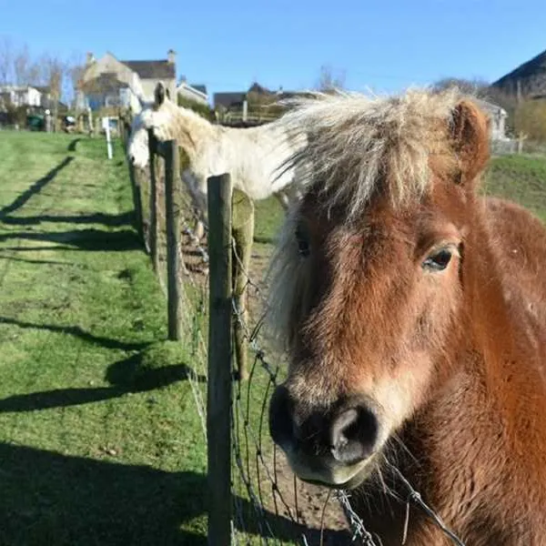 penisarlon-farm-pwhelli-qpdir