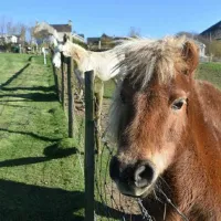 penisarlon-farm-pwhelli-qpdir