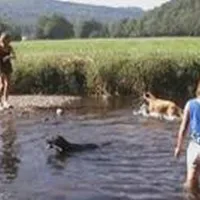 camping-a-la-ferme-la-tourelle-colombotte-aumgz