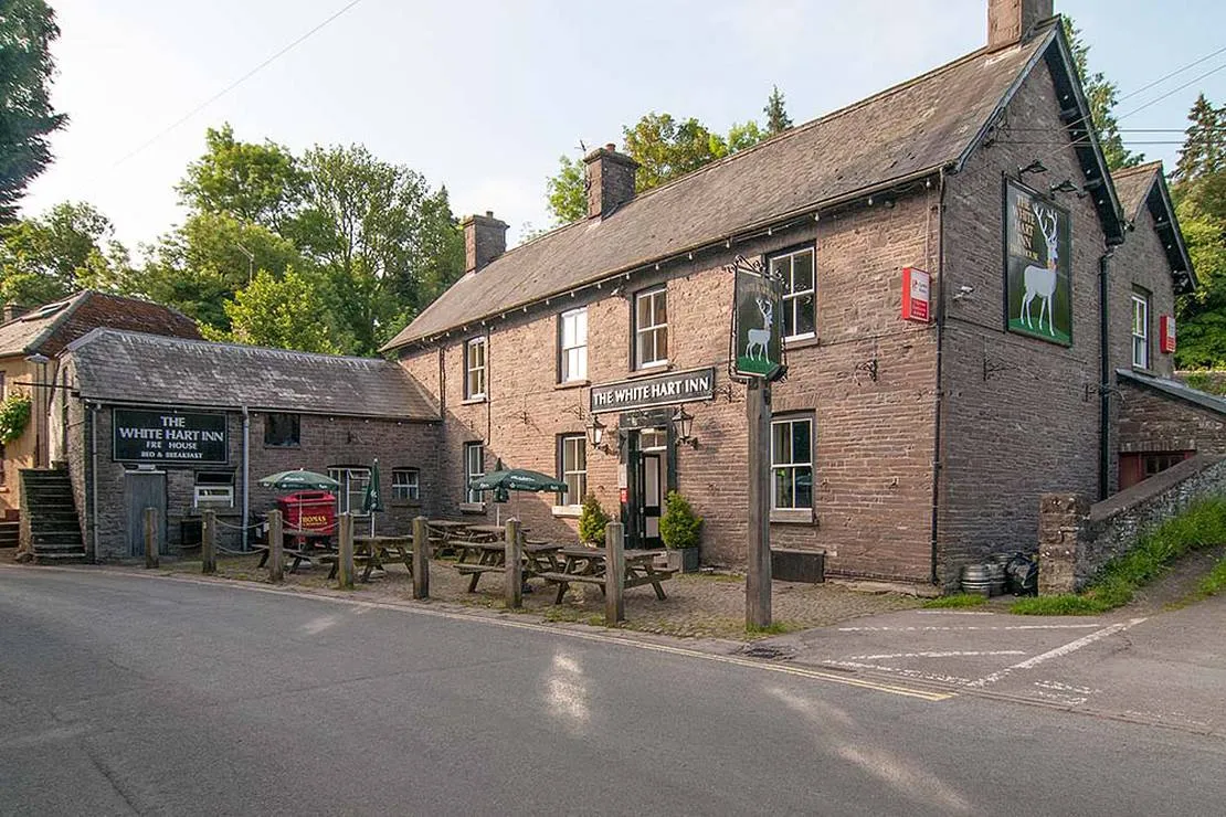 talybont-farm-caravan-powys-8hixv