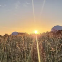 Pom Gratz EcoDomes