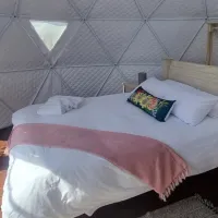 pom-gratz-ecodomes-tesselaarsdal-rqlib