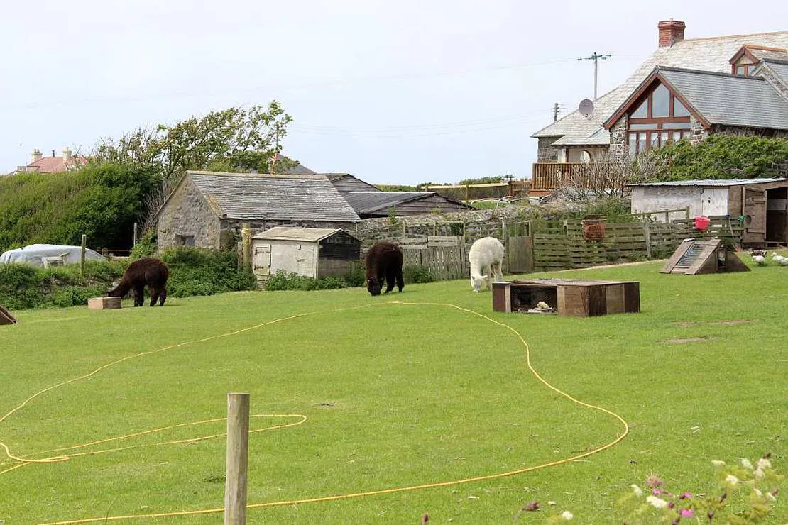 henrys-campsite-helston-o6bot