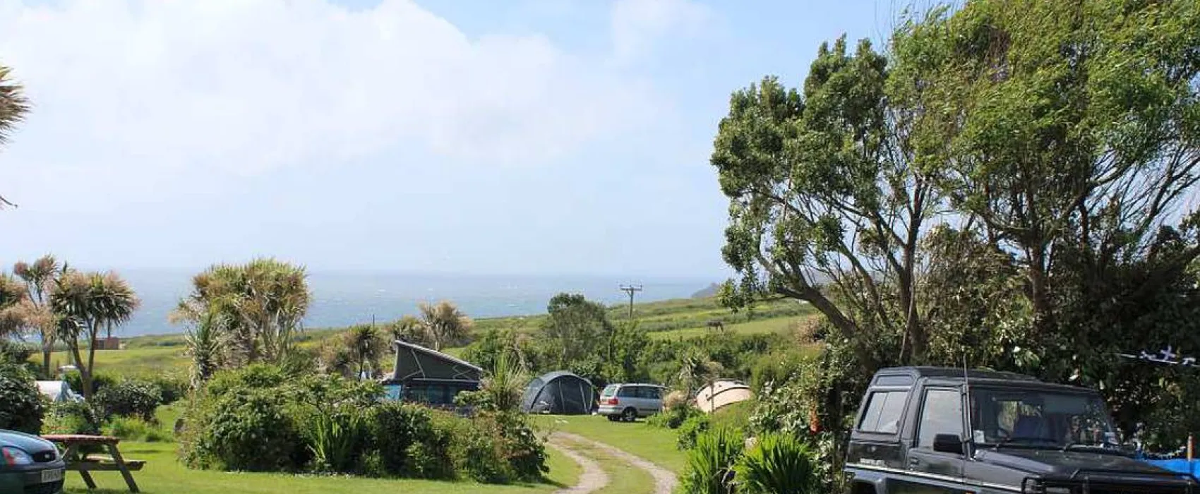 Henry's Campsite