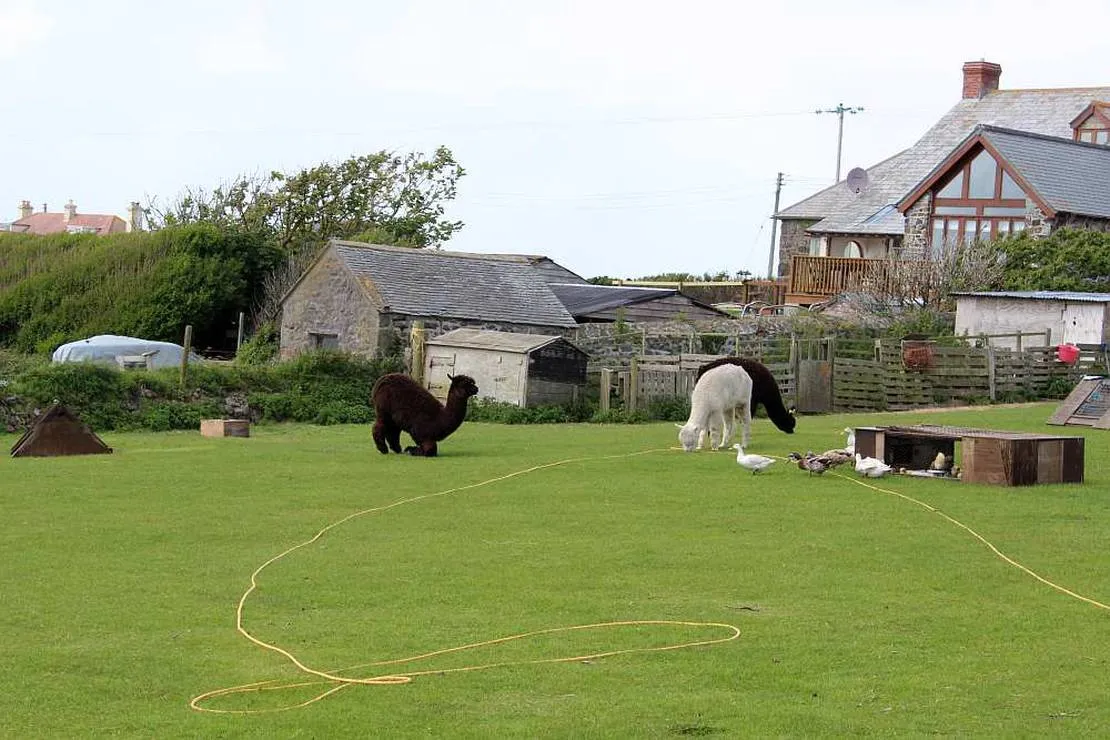henrys-campsite-helston-ym2ot