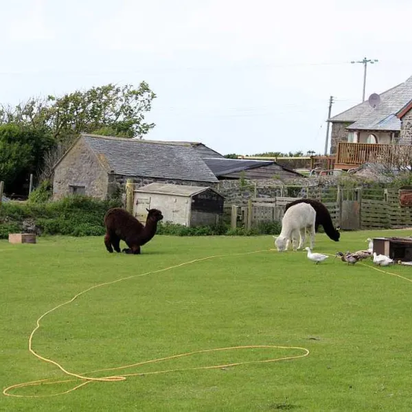 henrys-campsite-helston-ym2ot