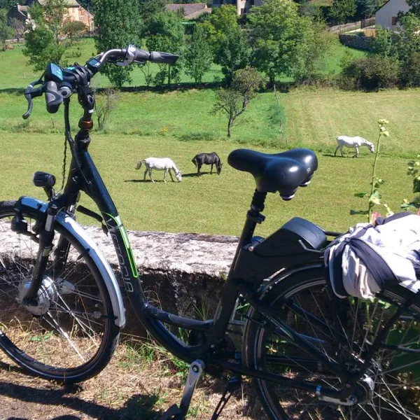 camping-le-chante-merle-chantemerle-les-bles-kmjlj