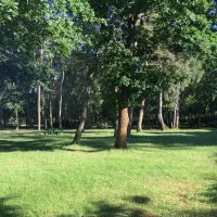 camping-7-zab-pobierowo-adpth