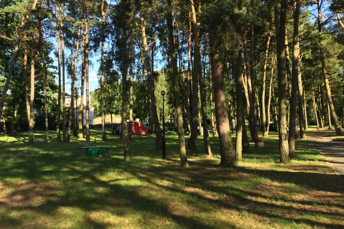 camping-7-zab-pobierowo-ocwrn