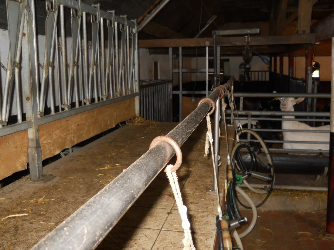 boerderijcamping-de-brommels-winterswijk-tsx5g