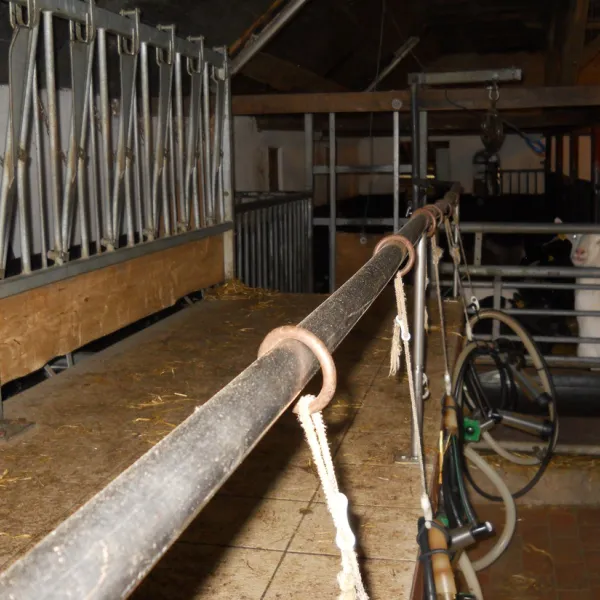 boerderijcamping-de-brommels-winterswijk-tsx5g