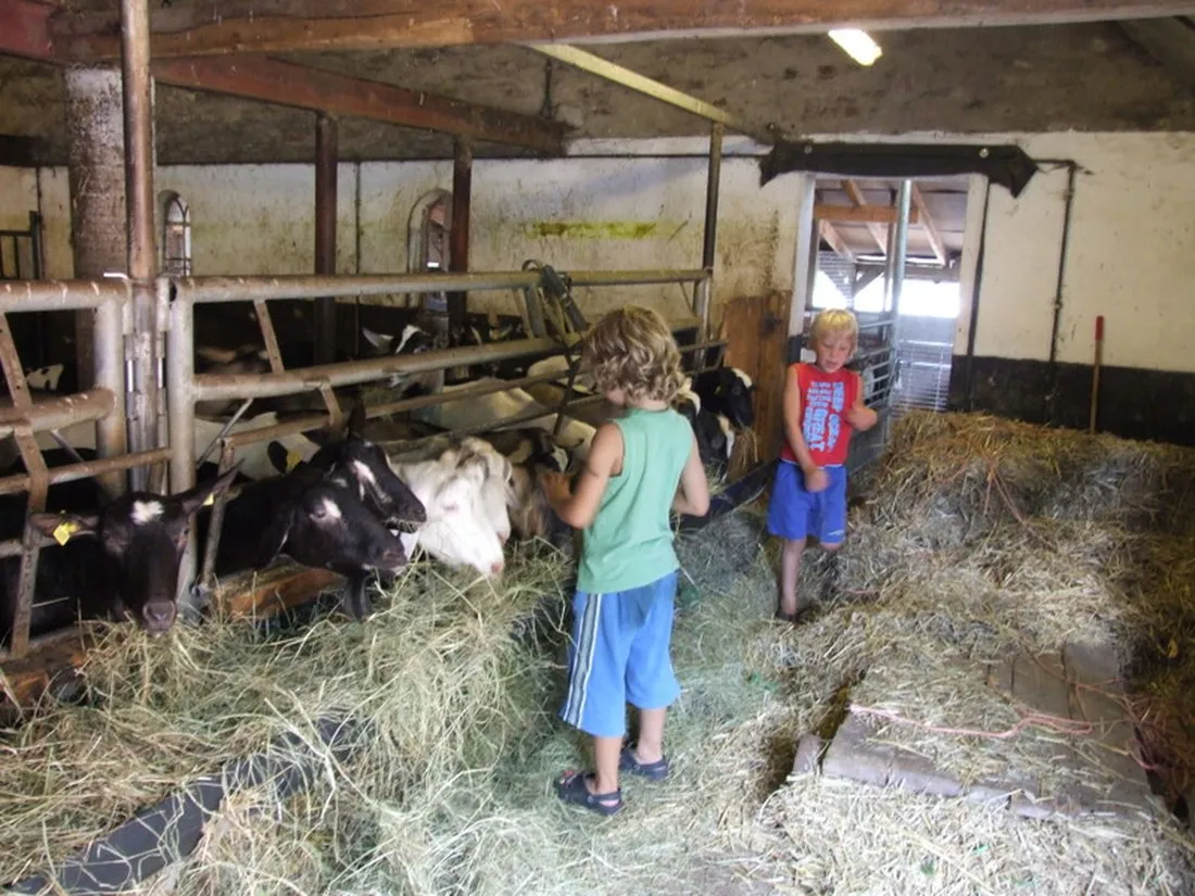 boerderijcamping-de-brommels-winterswijk-zerzs