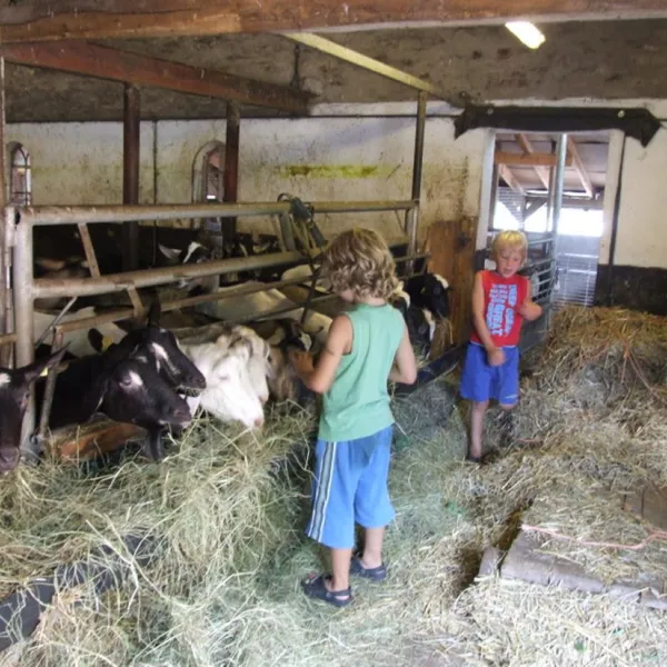 boerderijcamping-de-brommels-winterswijk-zerzs