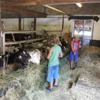 Boerderijcamping De Brömmels