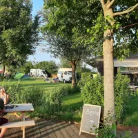 Theetuin en minicamping de Dille