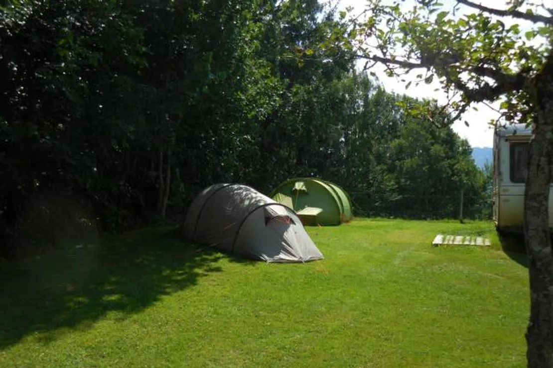 camping-feurstein-lingenau-hpocu