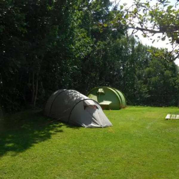 camping-feurstein-lingenau-hpocu