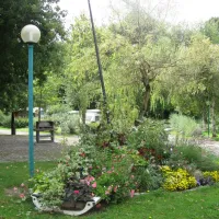 Municipal du Plan d'Eau de Courtille