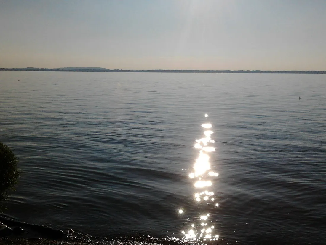 mowenplatz-chiemsee-chieming-tazda
