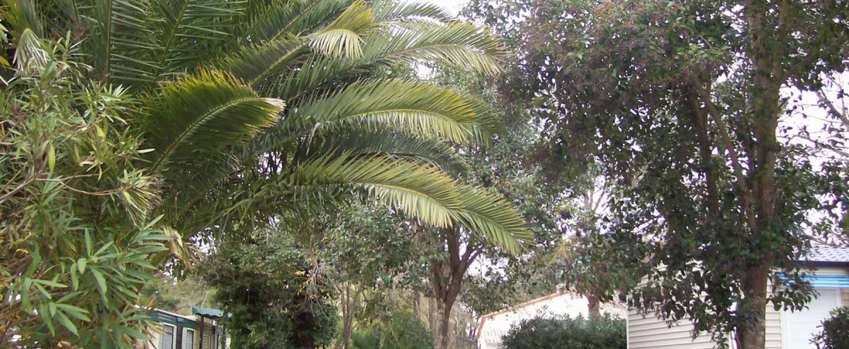 L'Equinoxe