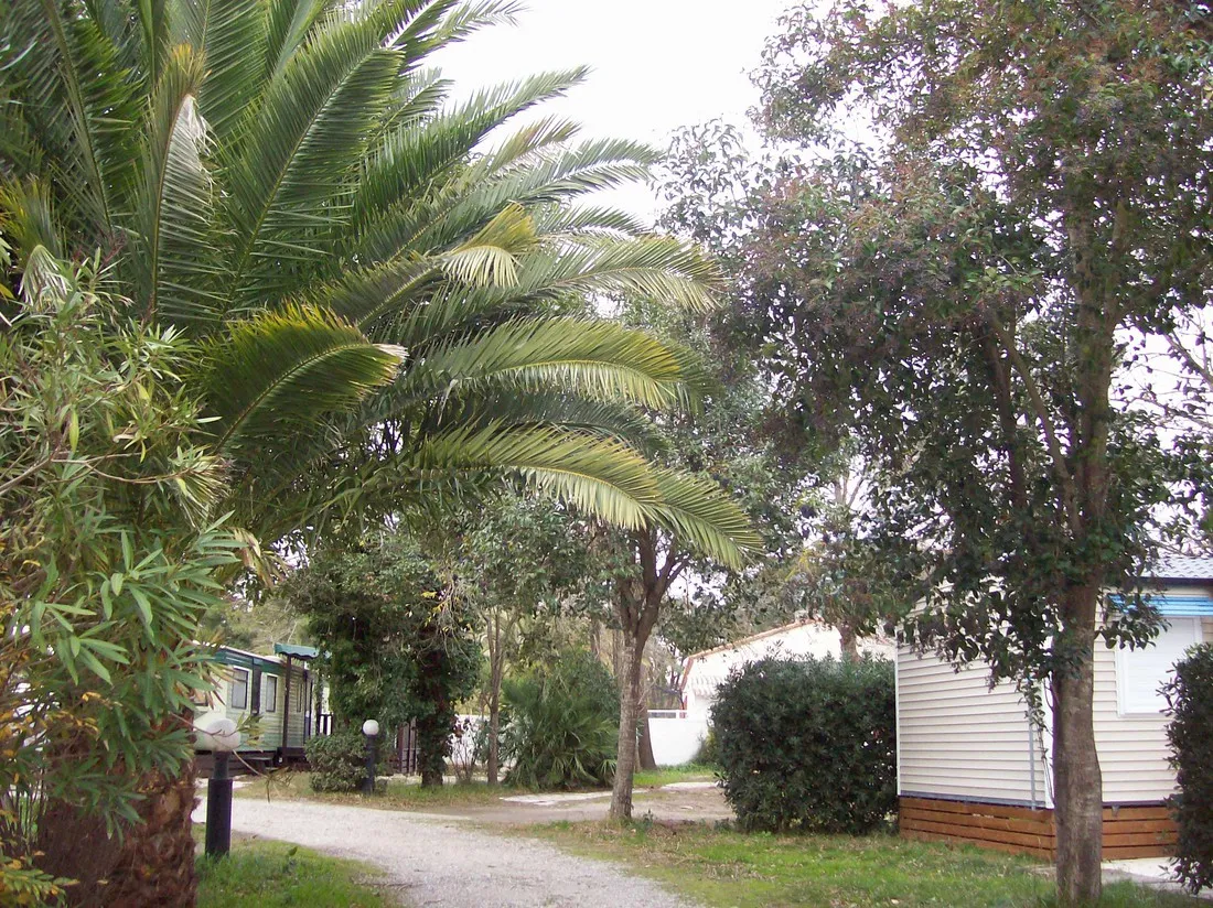 lequinoxe-argeles-sur-mer-fbt9v