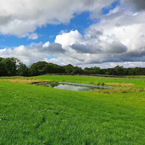 holmescales-campsite-kendal-d9lvv