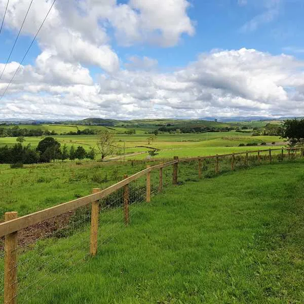 holmescales-campsite-kendal-ehlpg