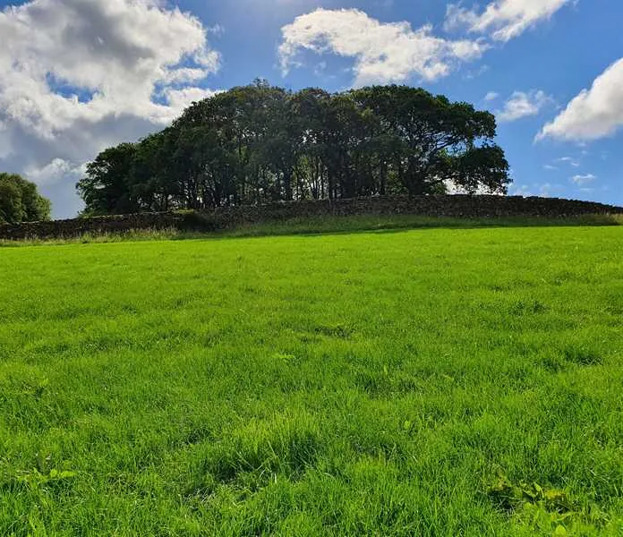 holmescales-campsite-kendal-ihaxc