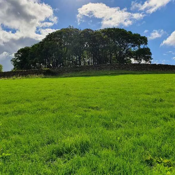 holmescales-campsite-kendal-ihaxc