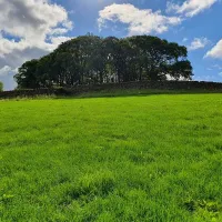 holmescales-campsite-kendal-ihaxc