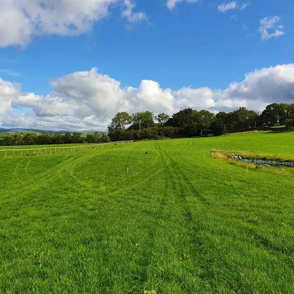 holmescales-campsite-kendal-w59zq
